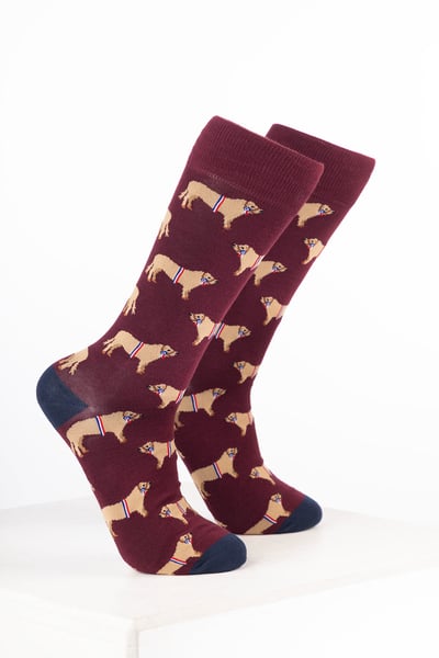 Men’s Farm Ankle Socks - Champion Bull Wine