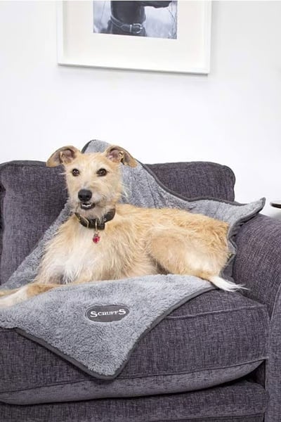 Scruffs Cosy Blanket - Grey