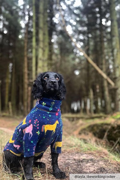 Patterned Fleece Dog Jumper - Yapham - Horsey