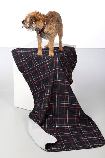 Fleece Dog Blanket - Yapham - Navy/Silver