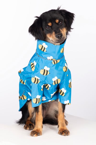 Spritzschutz für Hunde - Yapham - Hummel
