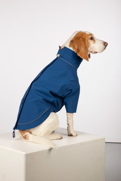 Dog Raincoats - Yapham - Blue