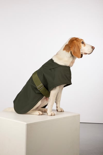 Fleece Lined Dog Coat - Yapham - Olive