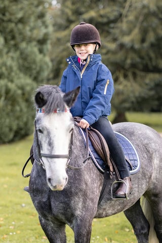 How to lunge a horse