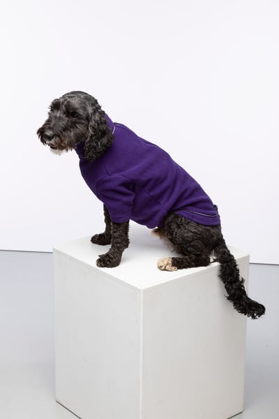 Fleece Dog Jumper - Yapham - Purple