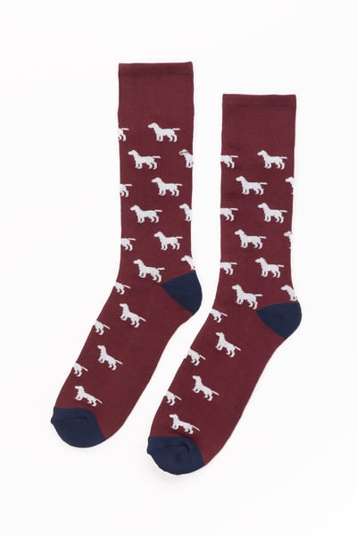Men's Labrador Socks - Burgundy