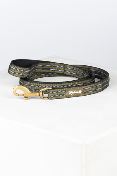 Reflective Dog Lead - Yapham - Olive
