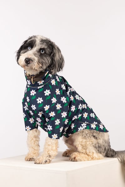 Patterned Dog Raincoats - Yapham - Daisy