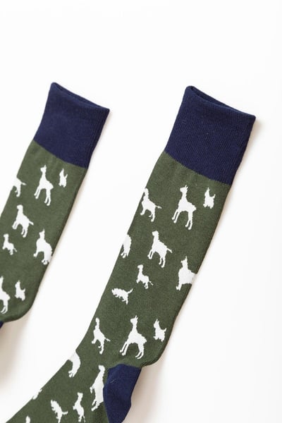 Calcetines de hombre con estampado de varios perros - Caqui