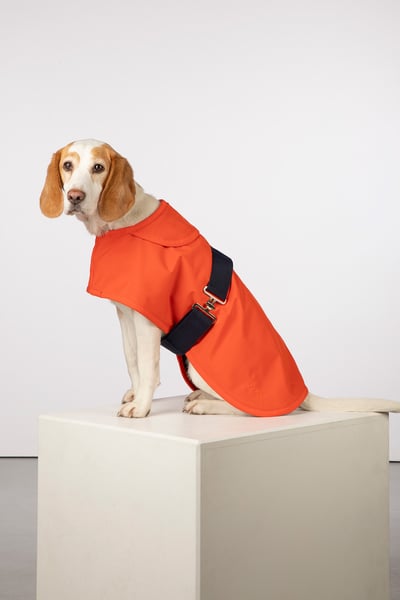 Fleece Lined Dog Coat - Yapham - Orange