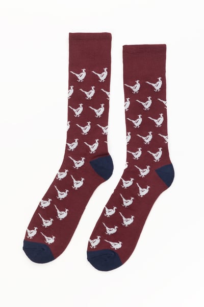 Men's Walking Pheasant Socks - Burgundy