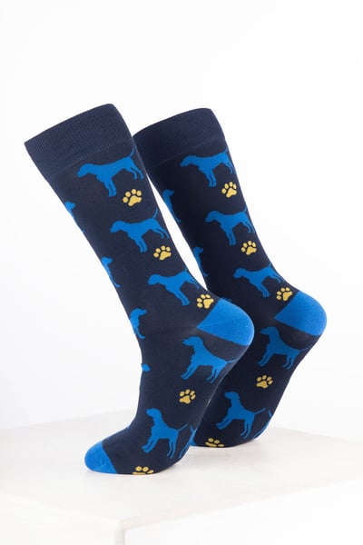 Chaussettes pour chiens pour hommes - Chiens et Pattes Bleu Marine