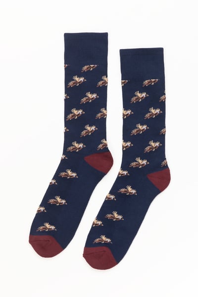 Chaussettes Faisan Volant pour Homme - Marine