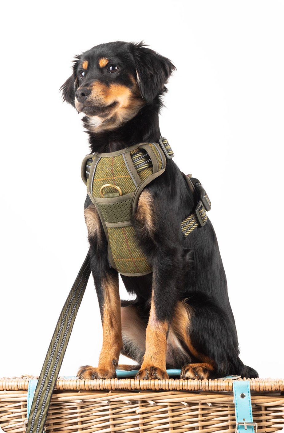 Tweed Dog Harness