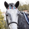 Stirnbänder für Ponys und Pferde