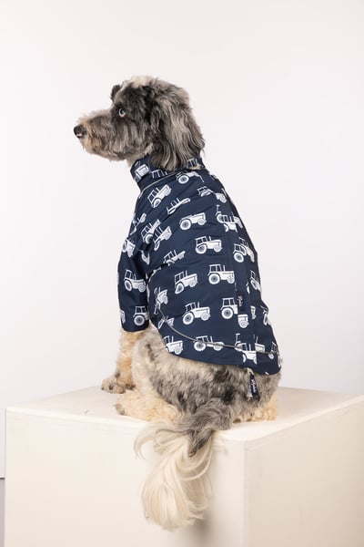 Spritzschutz für Hunde - Yapham - Traktor Marine