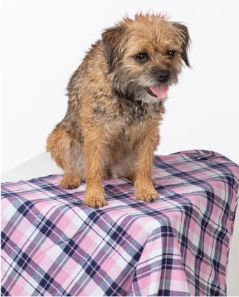 BLANKETS