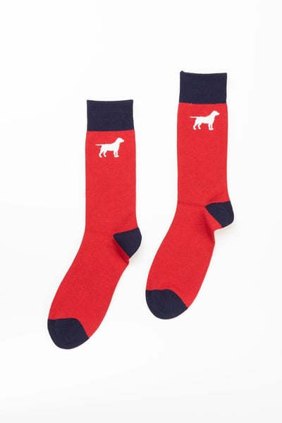 Men's Dog Socks - Red