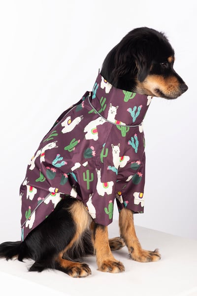 Spritzschutz für Hunde - Yapham - Lama