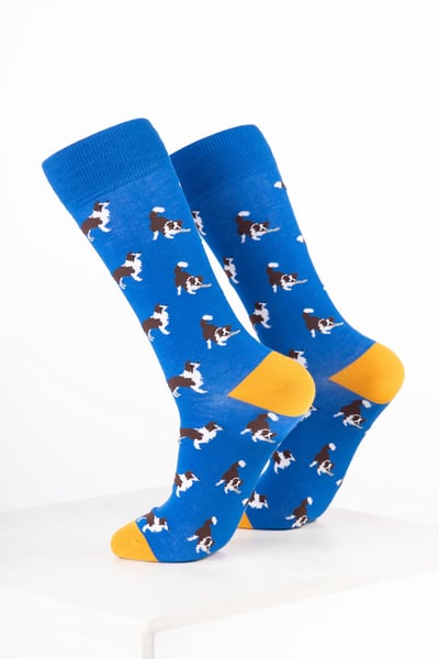 Men’s Bamboo Rich Dog Ankle Socks - Border Collie Blue