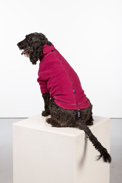 Fleece-Hundepullover - Yapham - Maulbeere