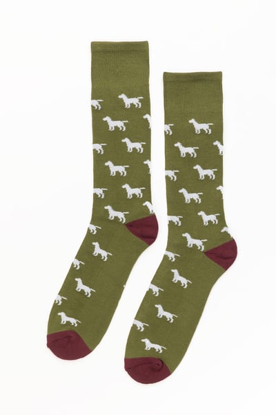 Men's Labrador Socks - Khaki