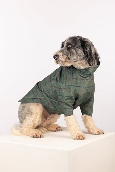 Patterned Dog Raincoats - Yapham - Kate Tweed