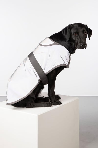Reflective Dog Coat - Muston - Hi Vis Silver