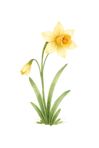 £40 OFF DECORATION IMAGE