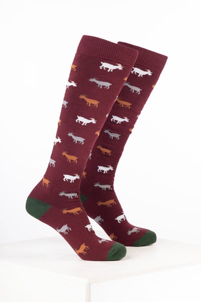 Chaussettes en caoutchouc pour hommes à motifs animaux - Vin de chèvre