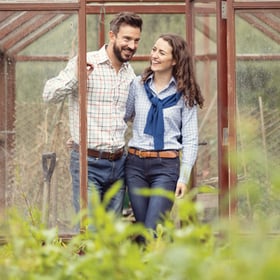 Best Garden Summer House Accessories