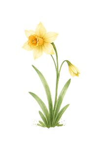 £40 OFF DECORATION IMAGE 2