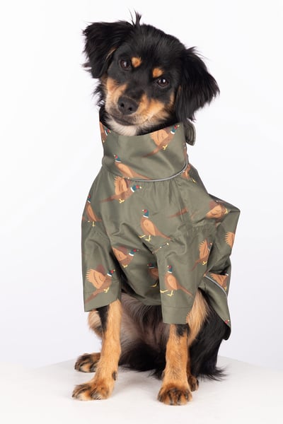 Spritzschutz für Hunde - Yapham - Faisán