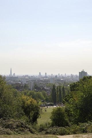 Promenades de chiens à Londres