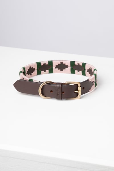 Hundehalsband mit Polo-Gürtel - Brown/Sorbet/Olive
