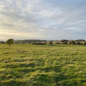 Rydale Product Placeholder Logo