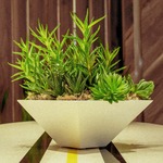 Faux Plants & Topiary