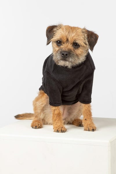 Plüsch-Fleece-Hundepullover - Yapham - Schwarz