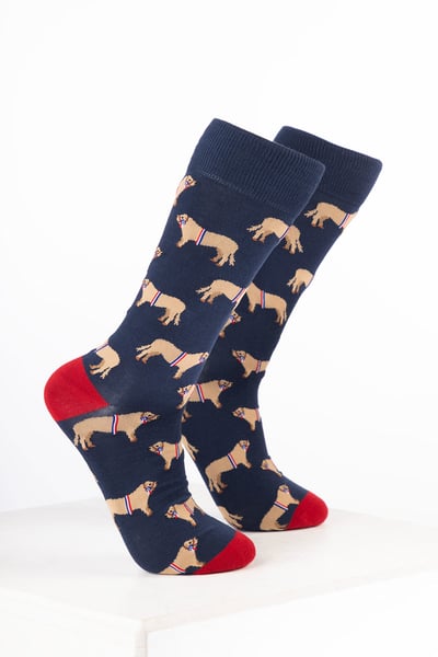 Men’s Farm Ankle Socks - Champion Bull Navy