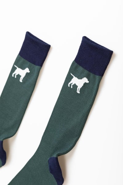 Chaussettes Chien Homme - forêt