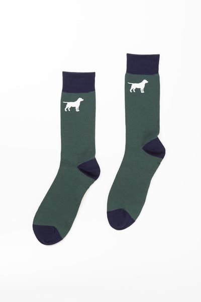 Chaussettes Chien Homme - forêt