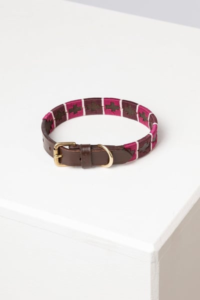 Collier pour chien Polo Belt - Berry/Damson/Sorbet
