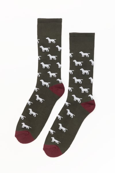 Men's Labrador Socks - Dark Olive