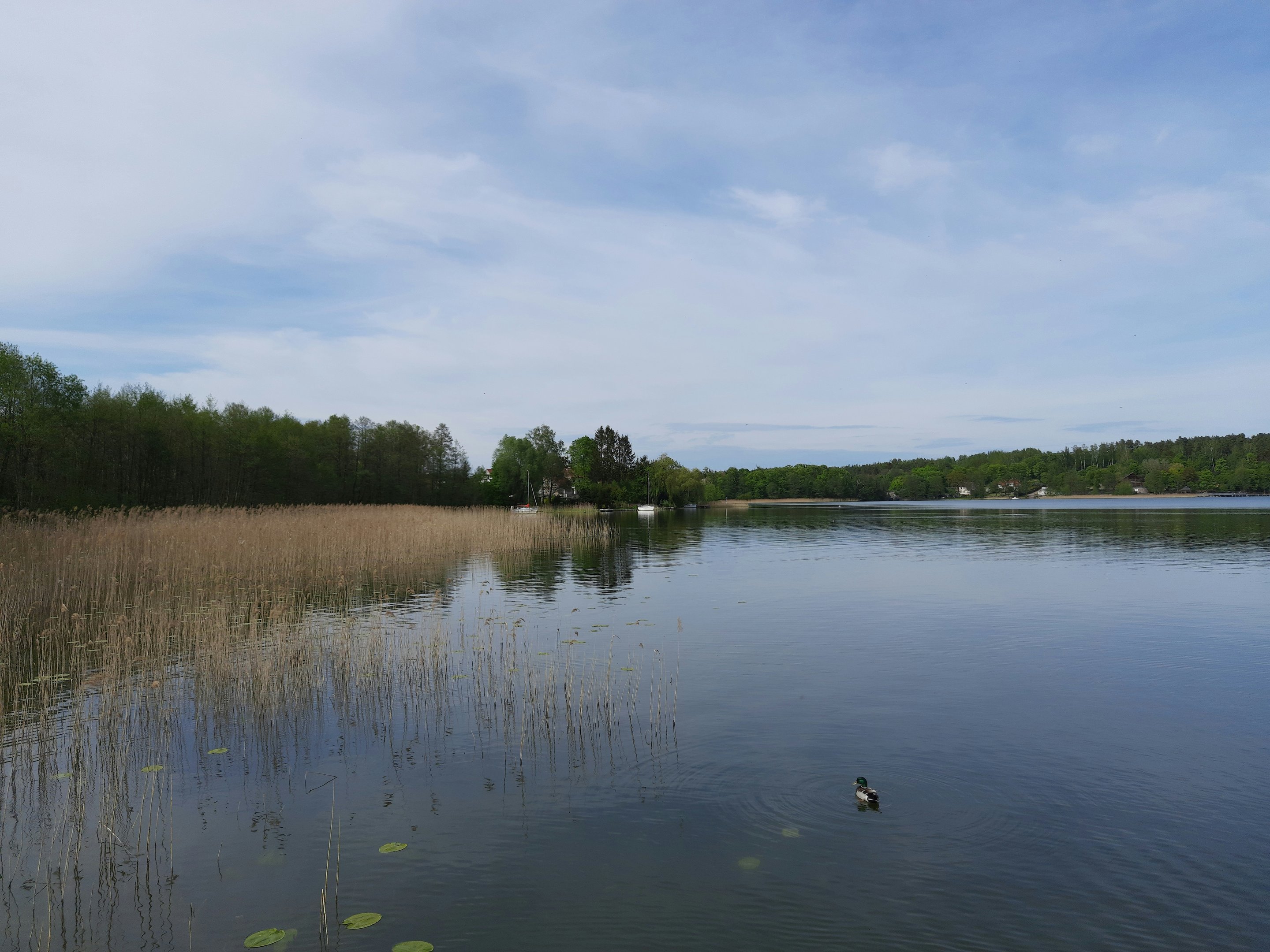 Druridge Bay Country Park Northumberland