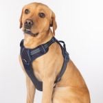 Dog Harnesses Image