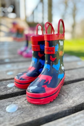 Red on sale dinosaur wellies