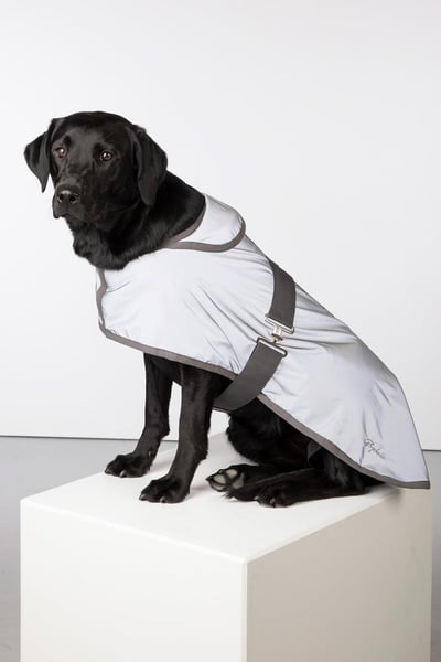 Reflective Dog Coat - Muston - Hi Vis Silver