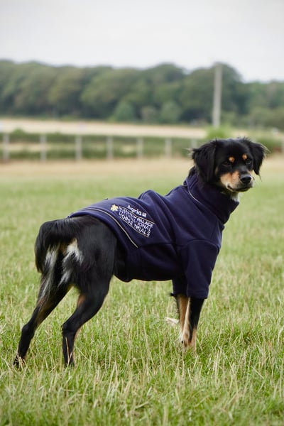 Fleece Dog Jumper - Official Blenheim Edition - Navy