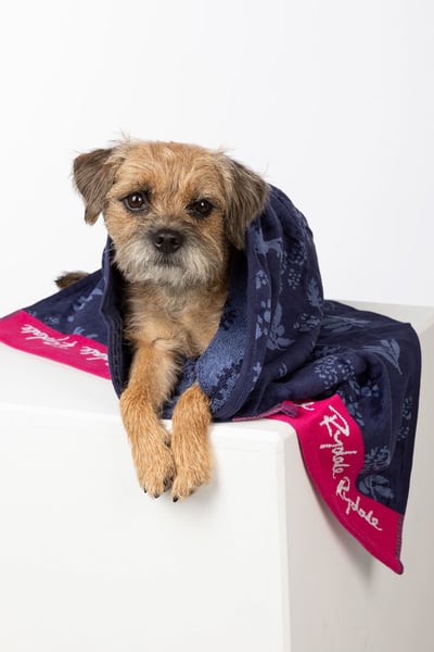 Small Dog Drying Towel - Yapham - Navy