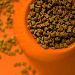 Dog Food